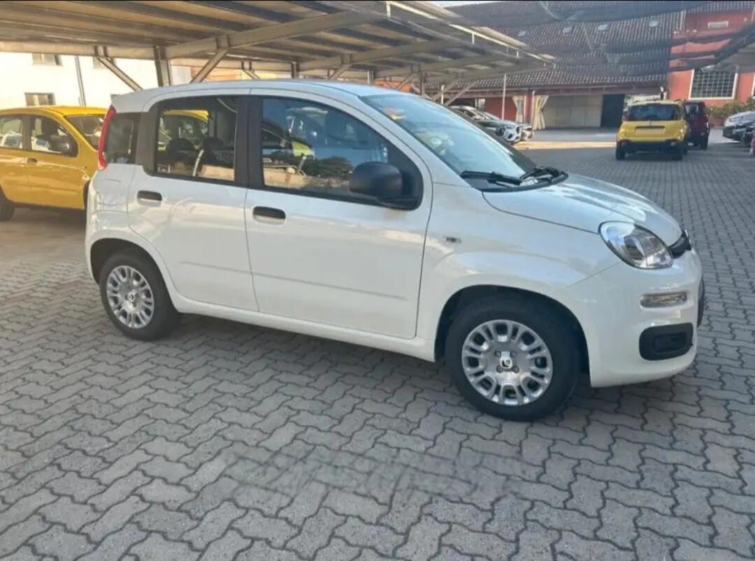 Fiat Panda 1.0 FireFly S&S Hybrid Pandina