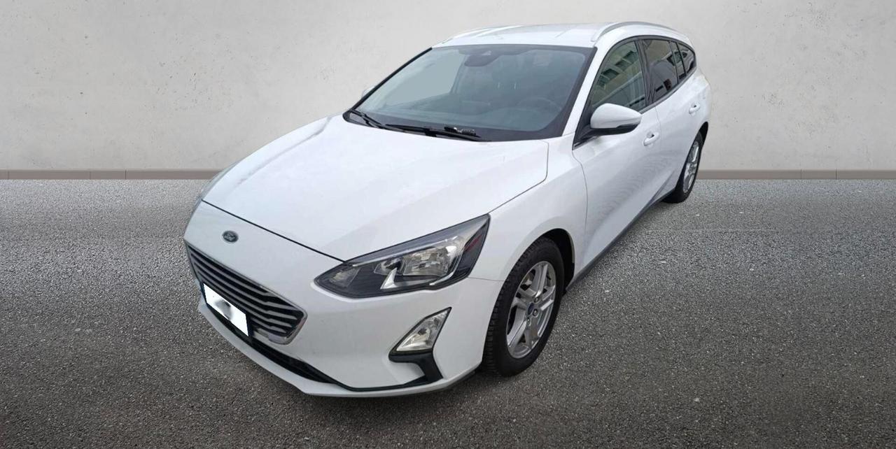 Ford Focus 1.5 EcoBlue 95 CV SW Business (IN ARRIVO)