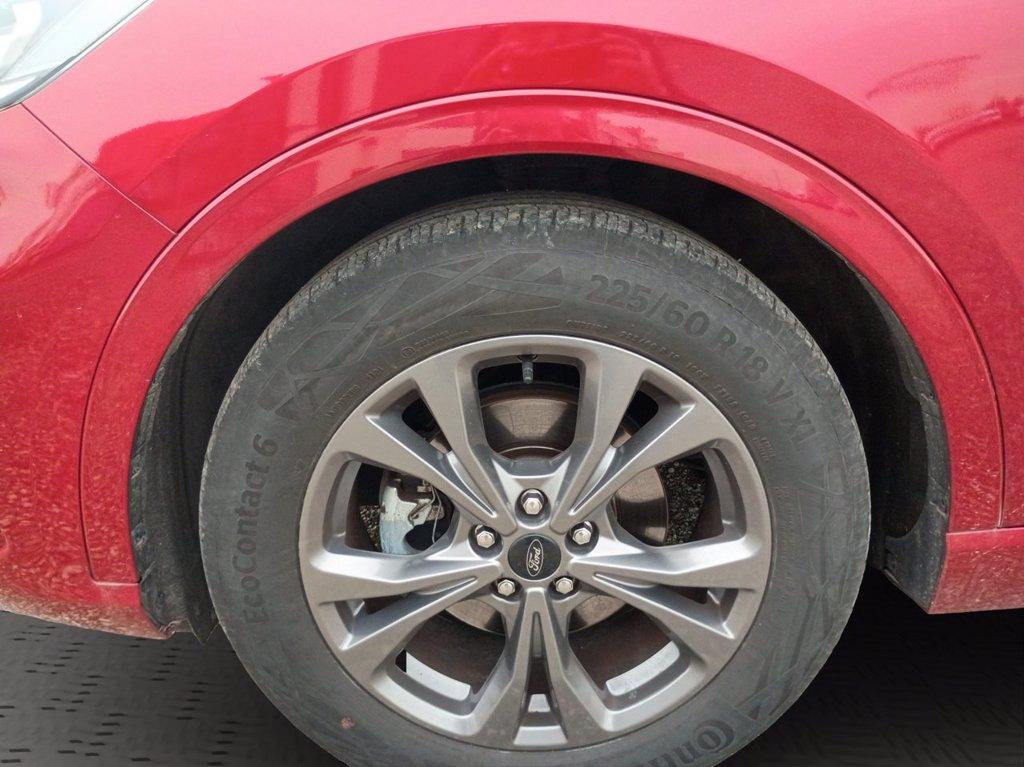 FORD Kuga 1.5 EcoBlue 120 CV 2WD ST-Line del 2022