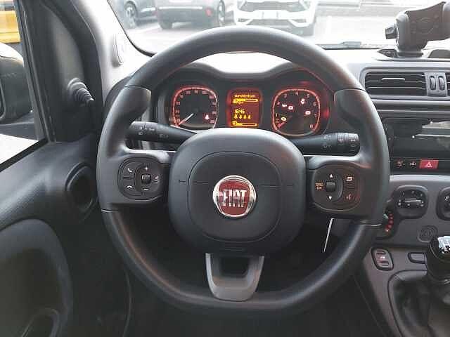 Fiat Panda 1.0 FireFly S&S Hybrid 'IN ARRIVO'