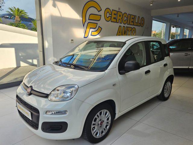 FIAT Panda 1.0 FireFly S&S Hybrid da ?119,00 mensili