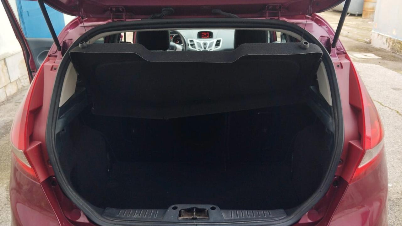 Ford Fiesta 1.2 82 CV 5 porte Titanium