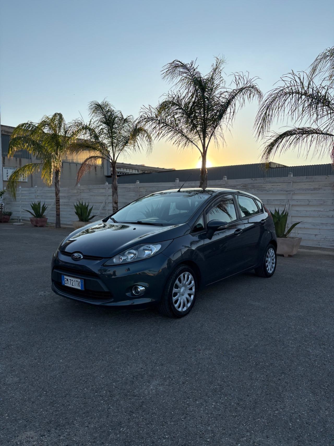 Ford Fiesta 1.6 TDCi 95 CV 5p. Tagliando eseguito