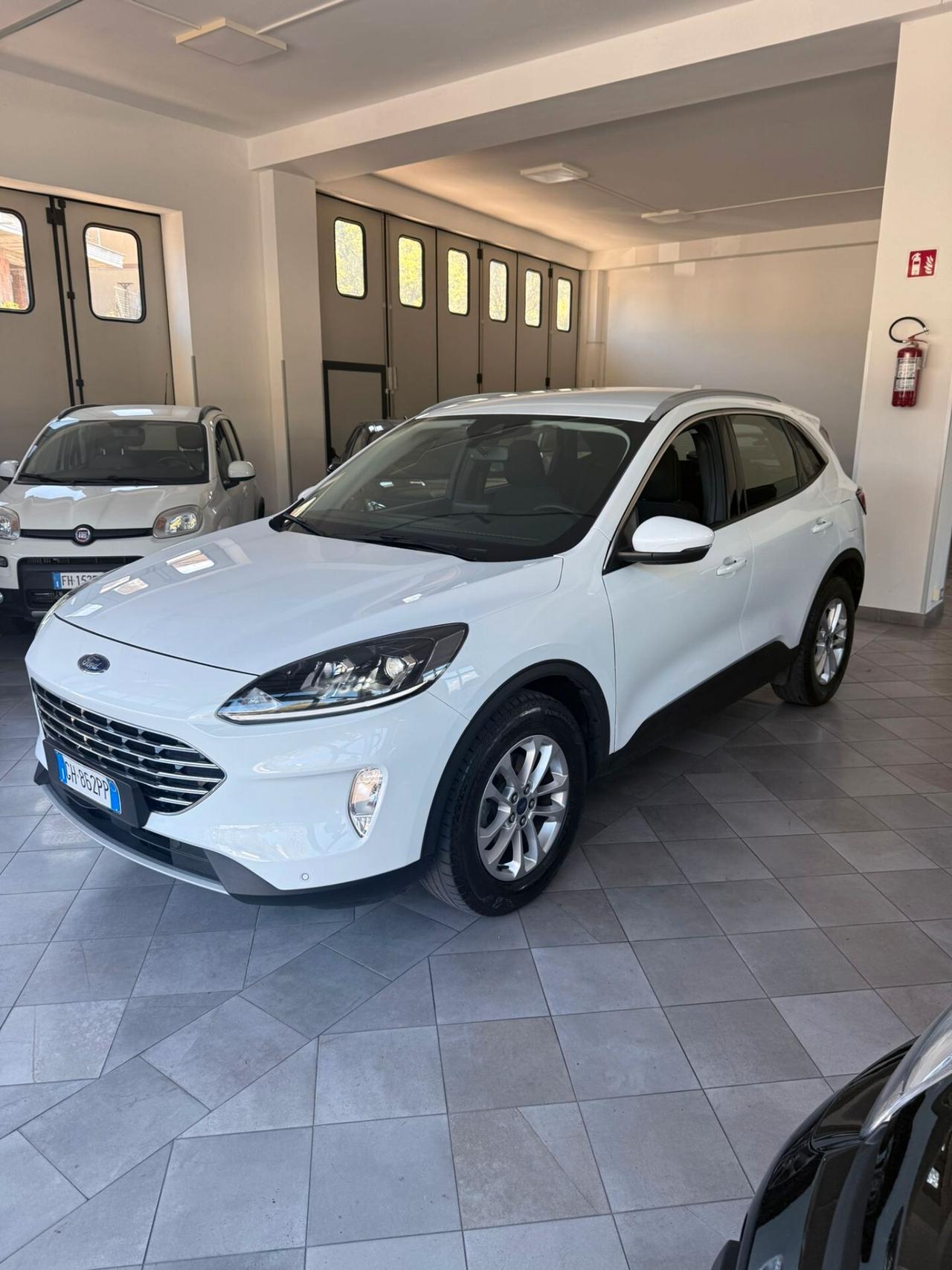 Ford Kuga 1.5 EcoBlue 120 CV aut. 2WD Titanium Business
