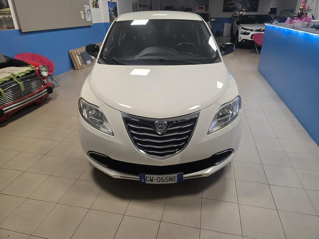 Lancia Ypsilon 1.2 69 CV 5 porte Platinum