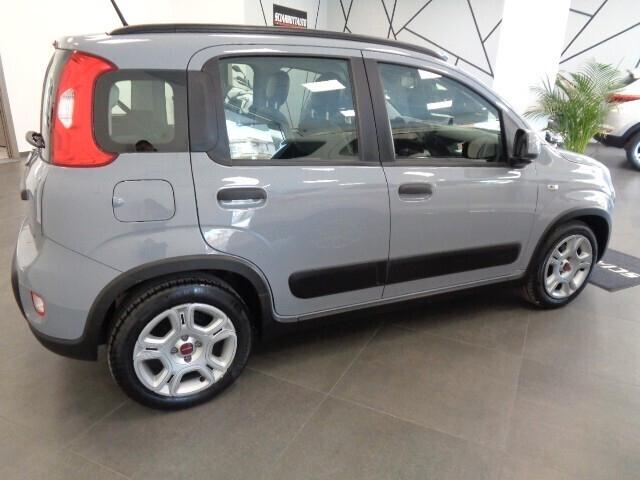 Fiat Panda 1.0 FireFly S&S Hybrid TUA €149,00 MESE