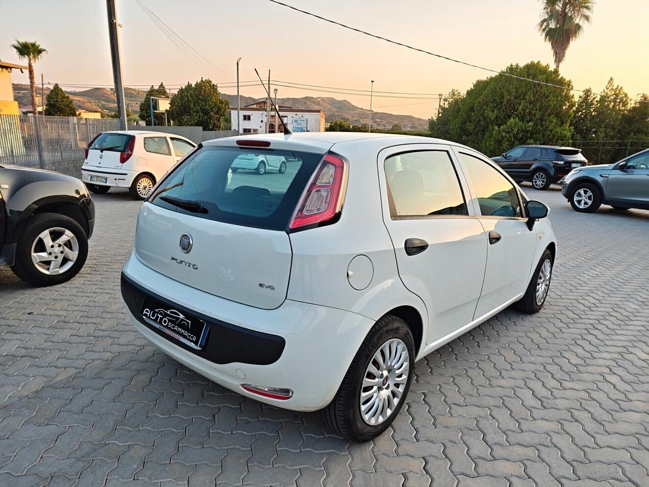 Fiat Punto Evo 1.3 Mjt 75 CV DPF 5 porte S&S Dynamic