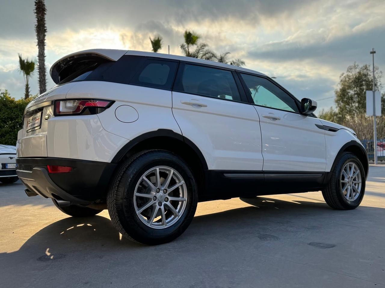 Land Rover Range Evoque 2.0 TD4 150 CV 5p. Business Edition Pure