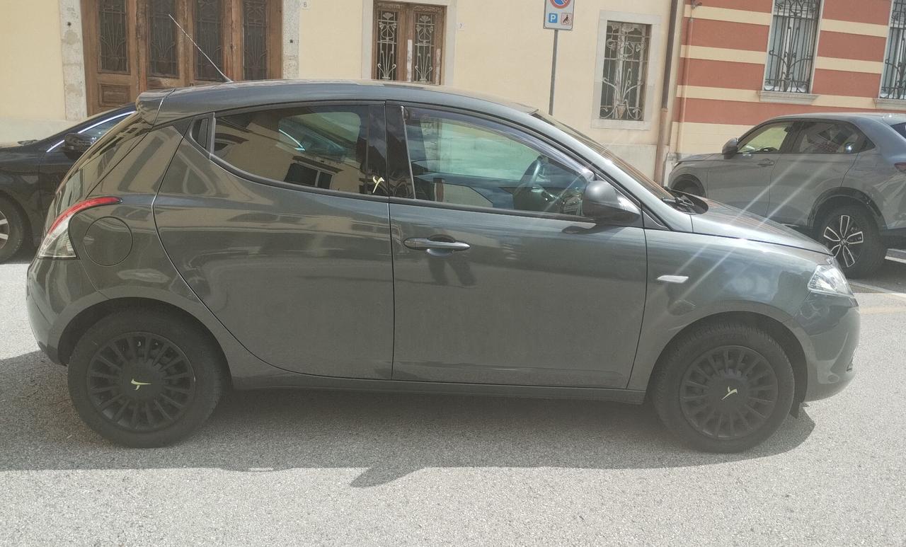 Lancia Ypsilon 1.2 69 CV 5 porte Elefantino NEOPATENTATI