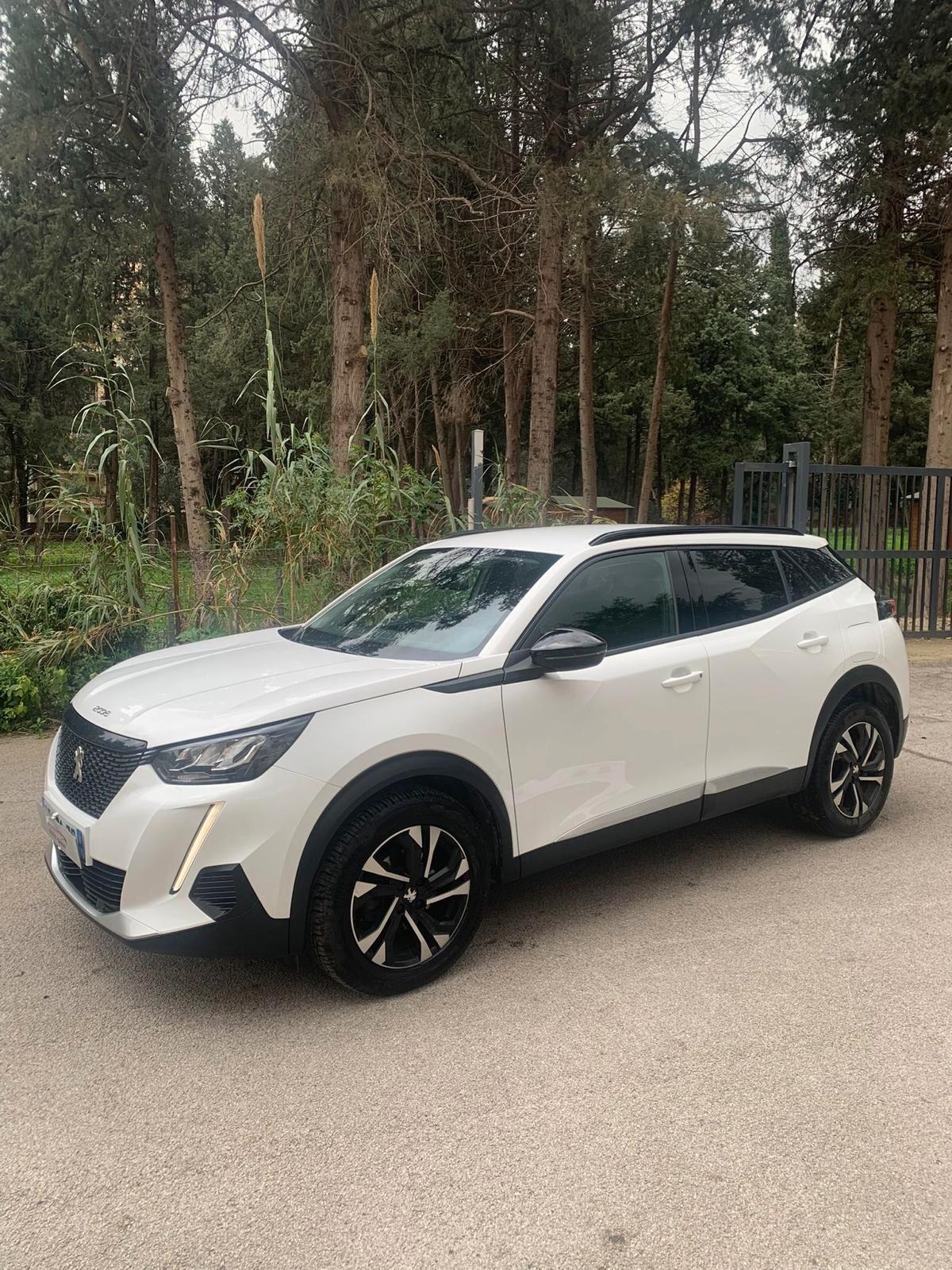 Peugeot 2008 BlueHDi 130 S&S EAT8 Allure