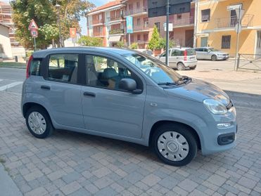 Fiat Panda 1.0 Hybrid EASY 70 CV