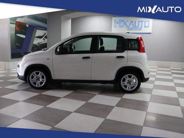 FIAT Panda Hybrid 1.0 FireFly 70cv EU6