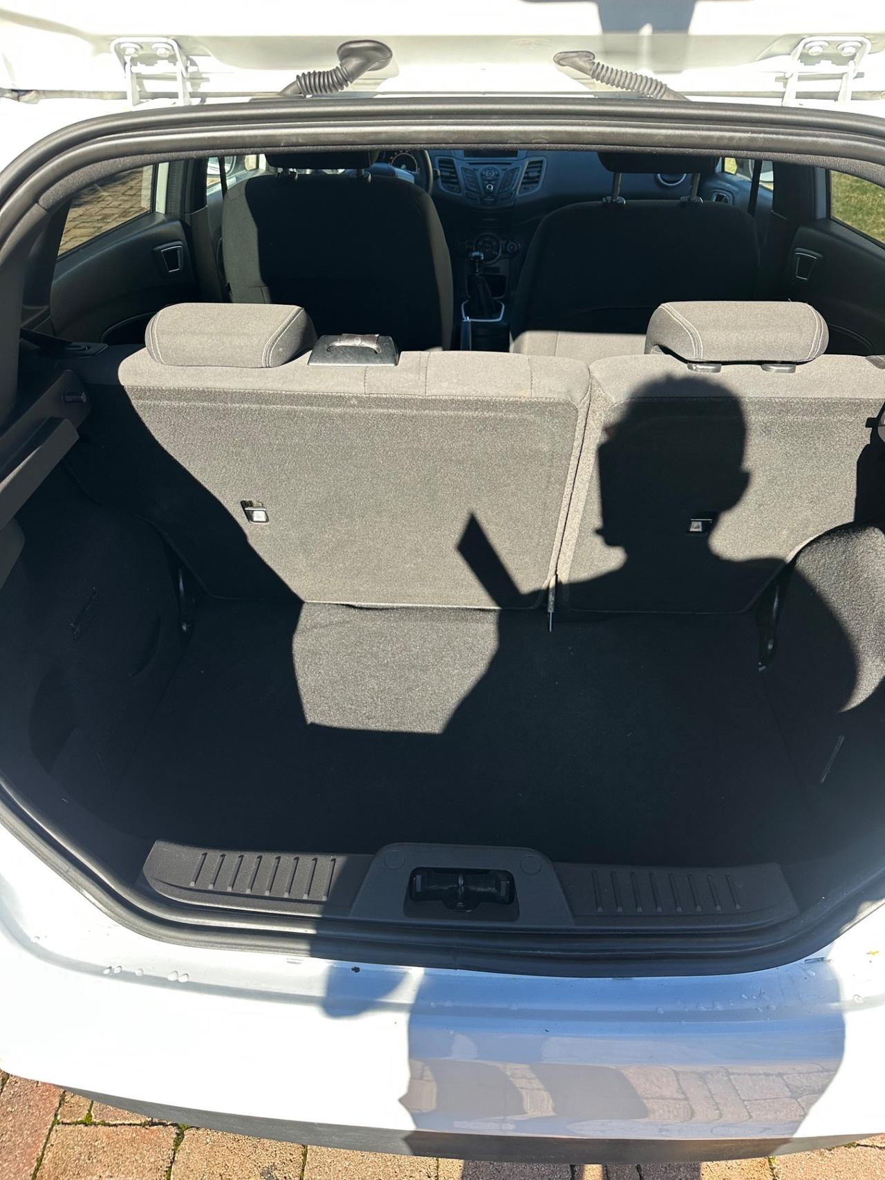 Ford Fiesta 1.5 TDCi 75CV 5 porte Black & White Edition