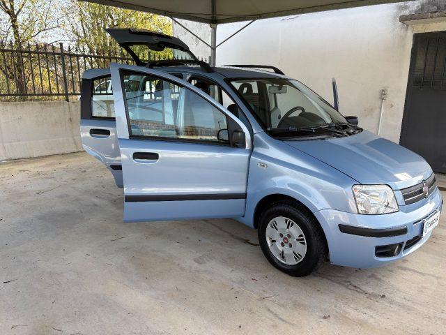 FIAT Panda 1.2 Dynamic OK NEOPATENTATI 5 POSTI EURO 4