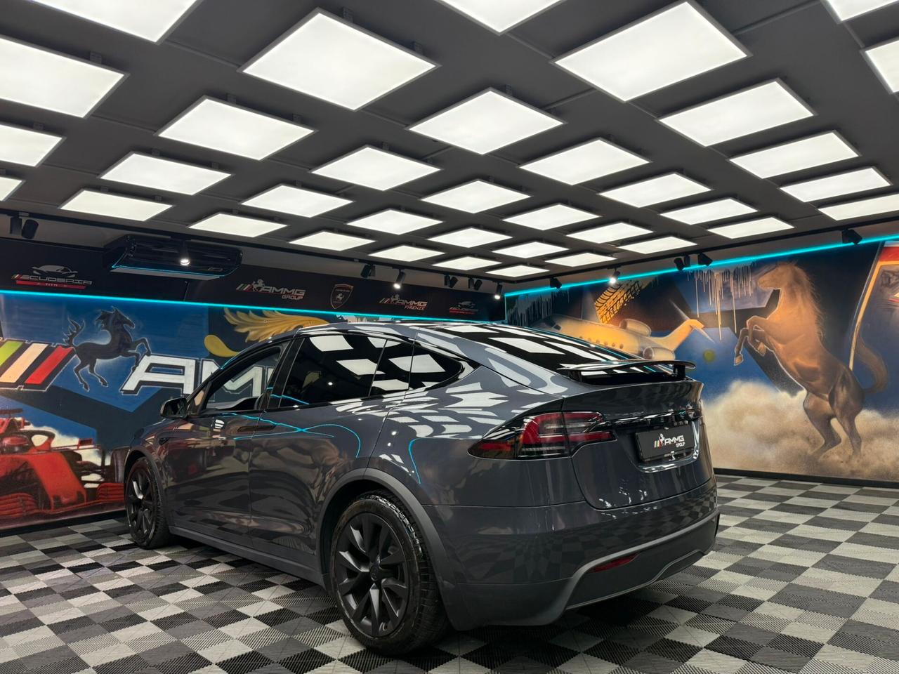 Tesla Model X LONG RANGE (734)