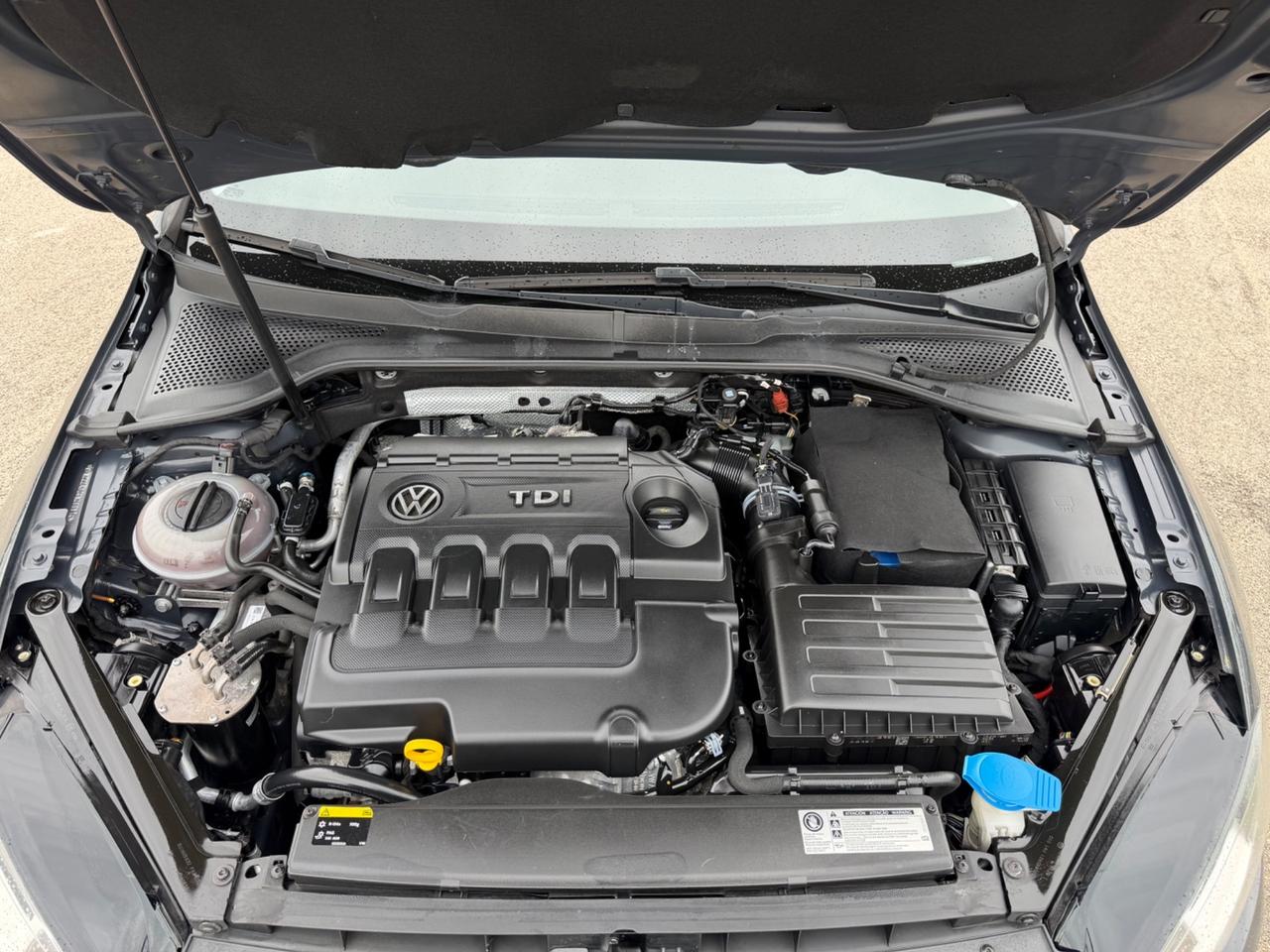 VOLKSWAGEN GOLF 1.6 TDI 90 CV 5P MANUAL FULL MY16