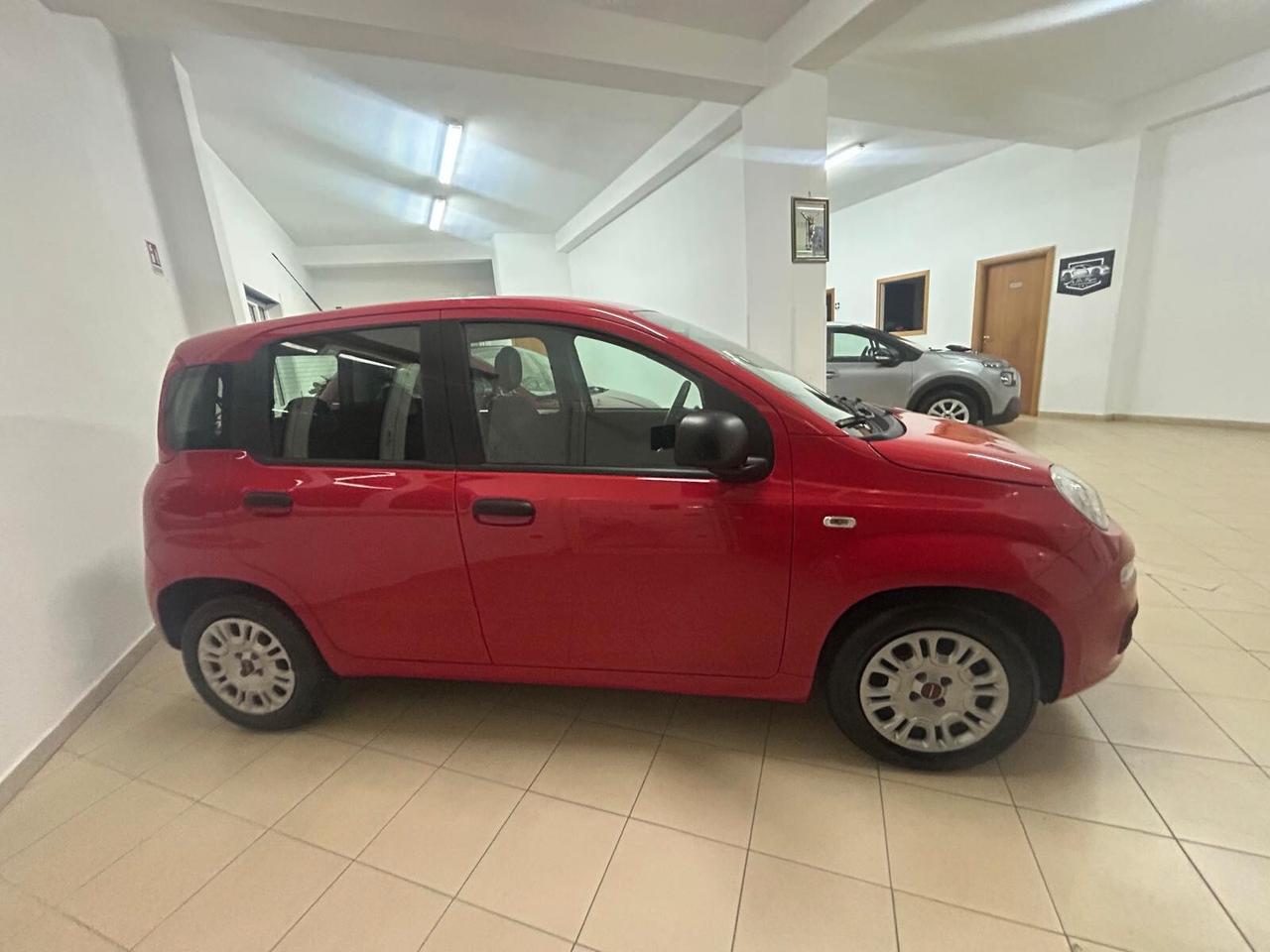 Fiat Panda 1.2 Lounge