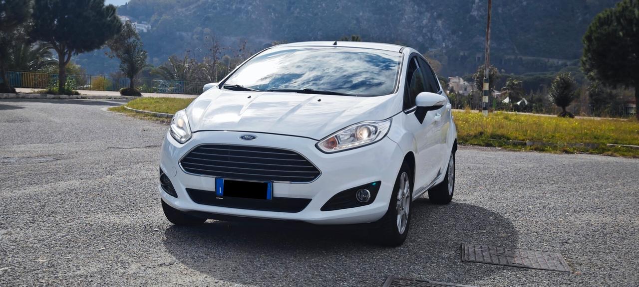 Ford Fiesta 1.2 82CV 5 porte Black & White Edition