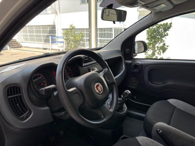 FIAT Panda 1.0 FireFly S&S Hybrid da ?119,00 mensili