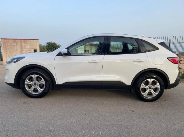 Ford Kuga 1.5 ecoblue Connect 2wd 120cv auto