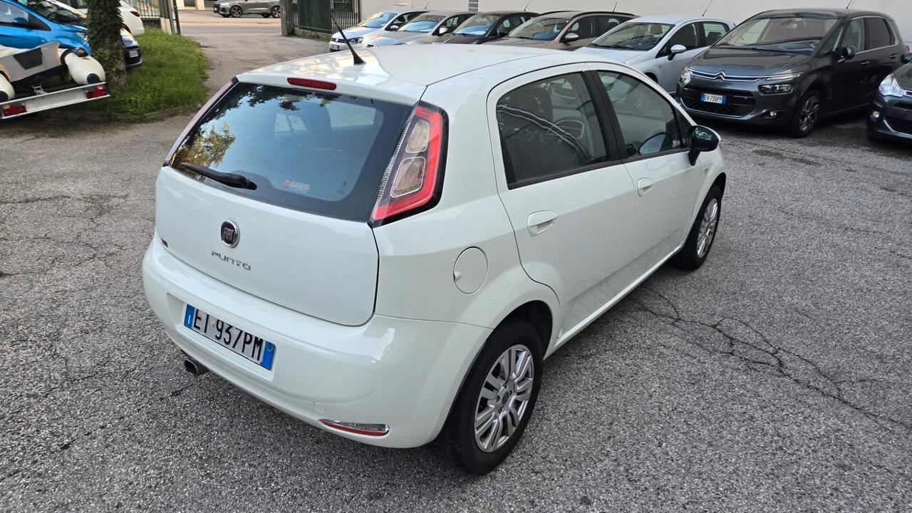 Fiat Punto 1.2 8V 5 porte Street Ok Neopatentati