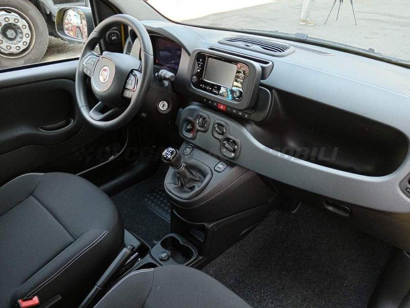 FIAT Panda Panda 1.0 firefly hybrid s&s 70cv