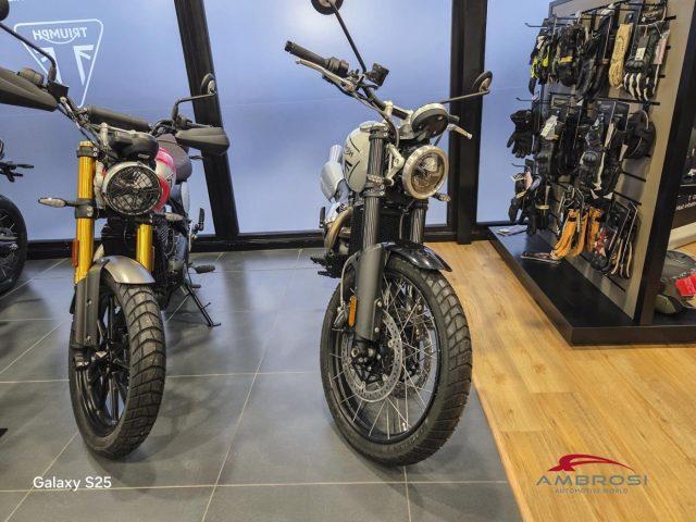 TRIUMPH Scrambler 1200 (MY 24)