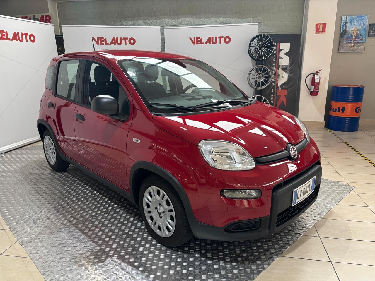 Fiat Panda Pandina 1.0 FireFly S&S Hybrid Pop