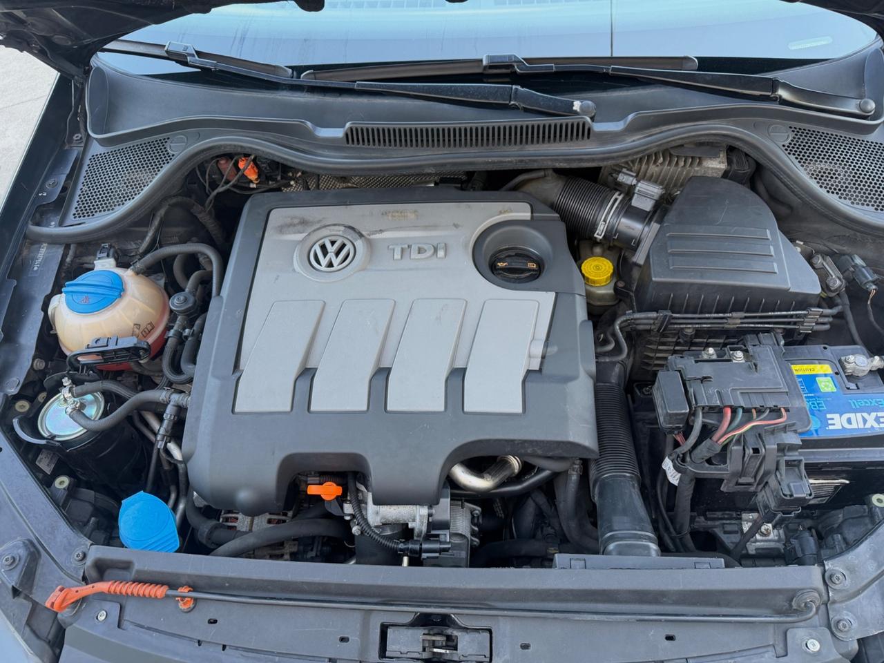 Volkswagen Polo 1.6 TDI 105CV DPF 5 porte Highline BlueMotion Technology