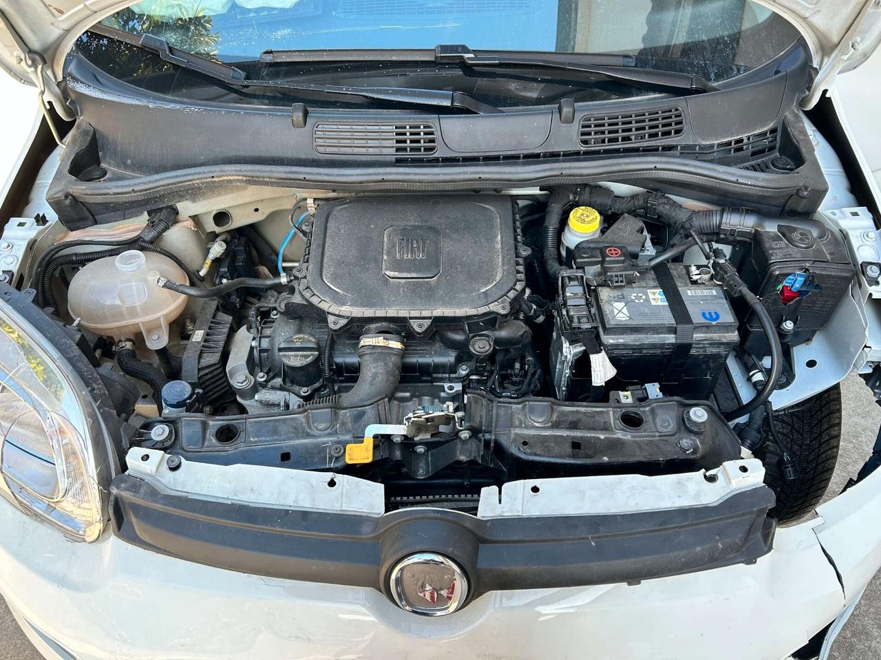 Fiat New Panda 1.0 Hybrid - 2024 Incidentata