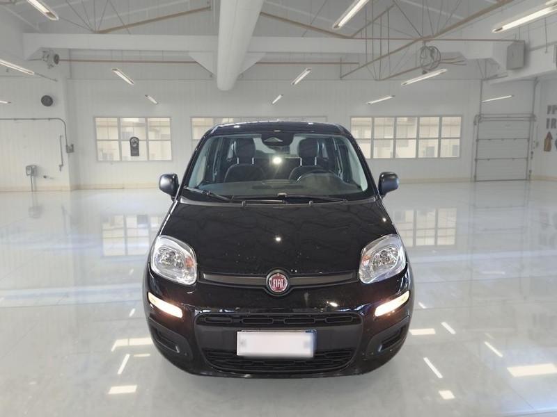 FIAT PANDA 1.0 FireFly 70cv S/S Hybrid 5 PORTE