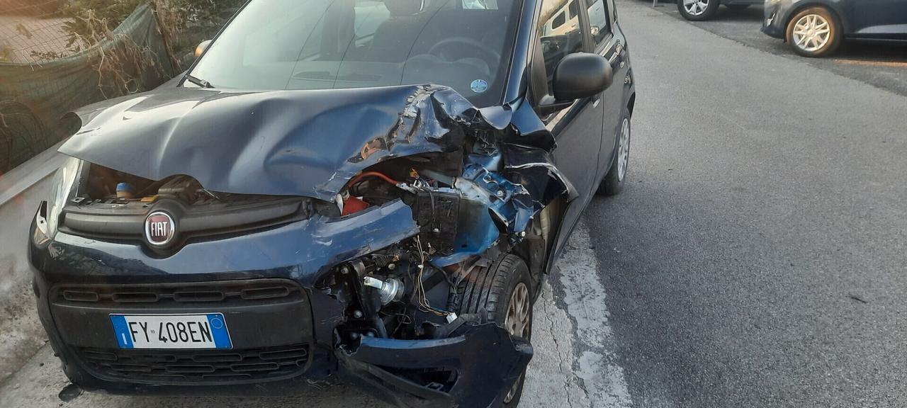 Fiat Panda cc12 GPL anno 2019