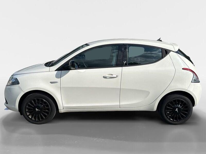 Lancia Ypsilon Ypsilon 1.2 69 CV 5 porte GPL Ecochic Gold