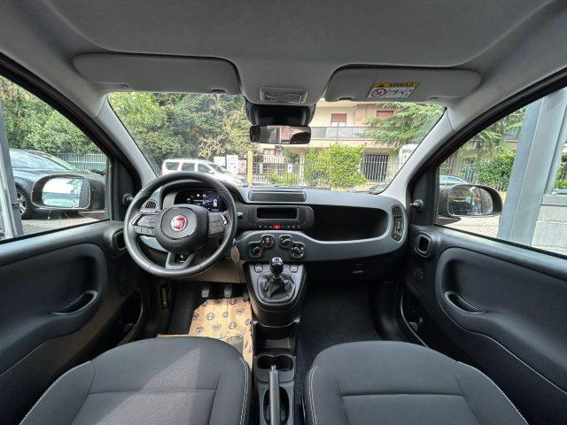 FIAT Panda 1.0 FireFly S&S *PREZZO PROMO*