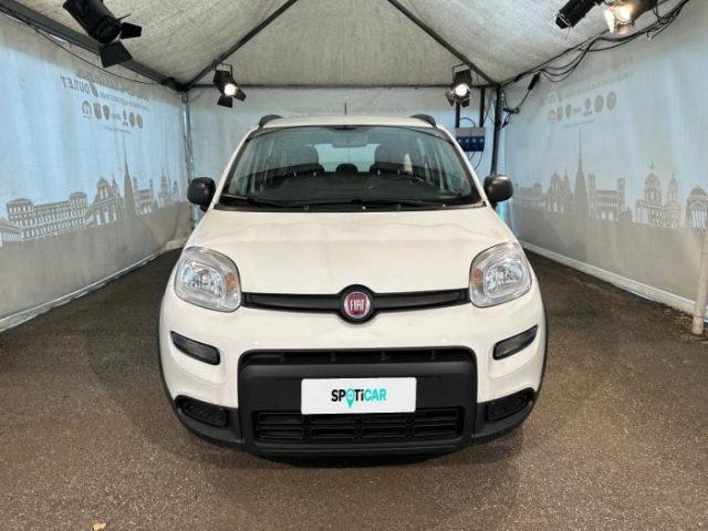 FIAT Panda my21 10 70cv hybrid city life