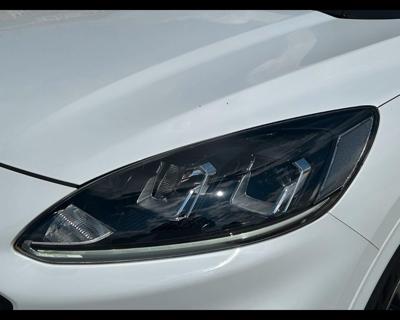 FORD Kuga III 2020 - Kuga 2.0 ecoblue ST-Line 2wd 120cv auto