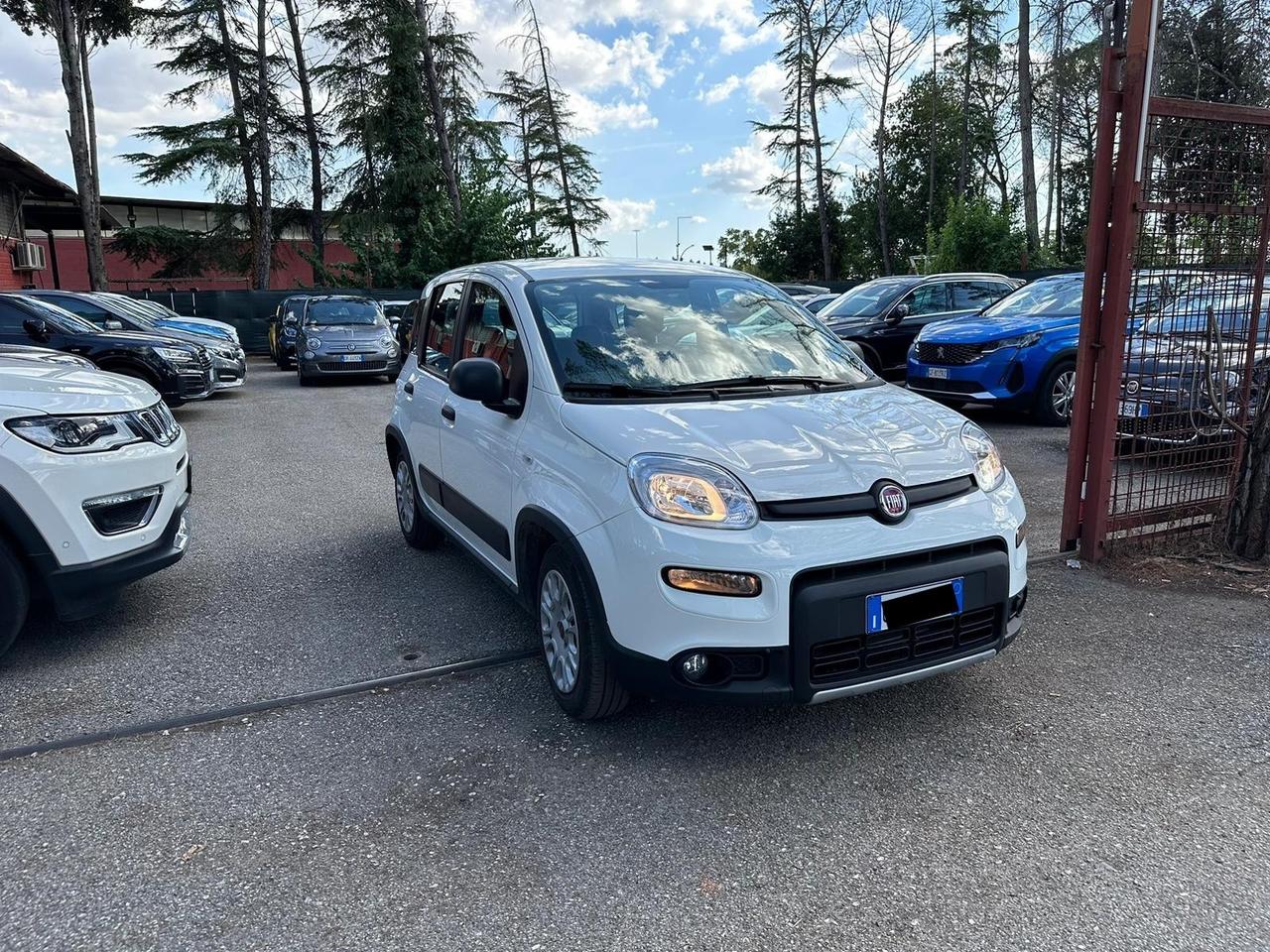 Fiat Panda 1.0 FireFly S&S Hybrid City Life NAVIGATORE PRONTA CONSEGNA