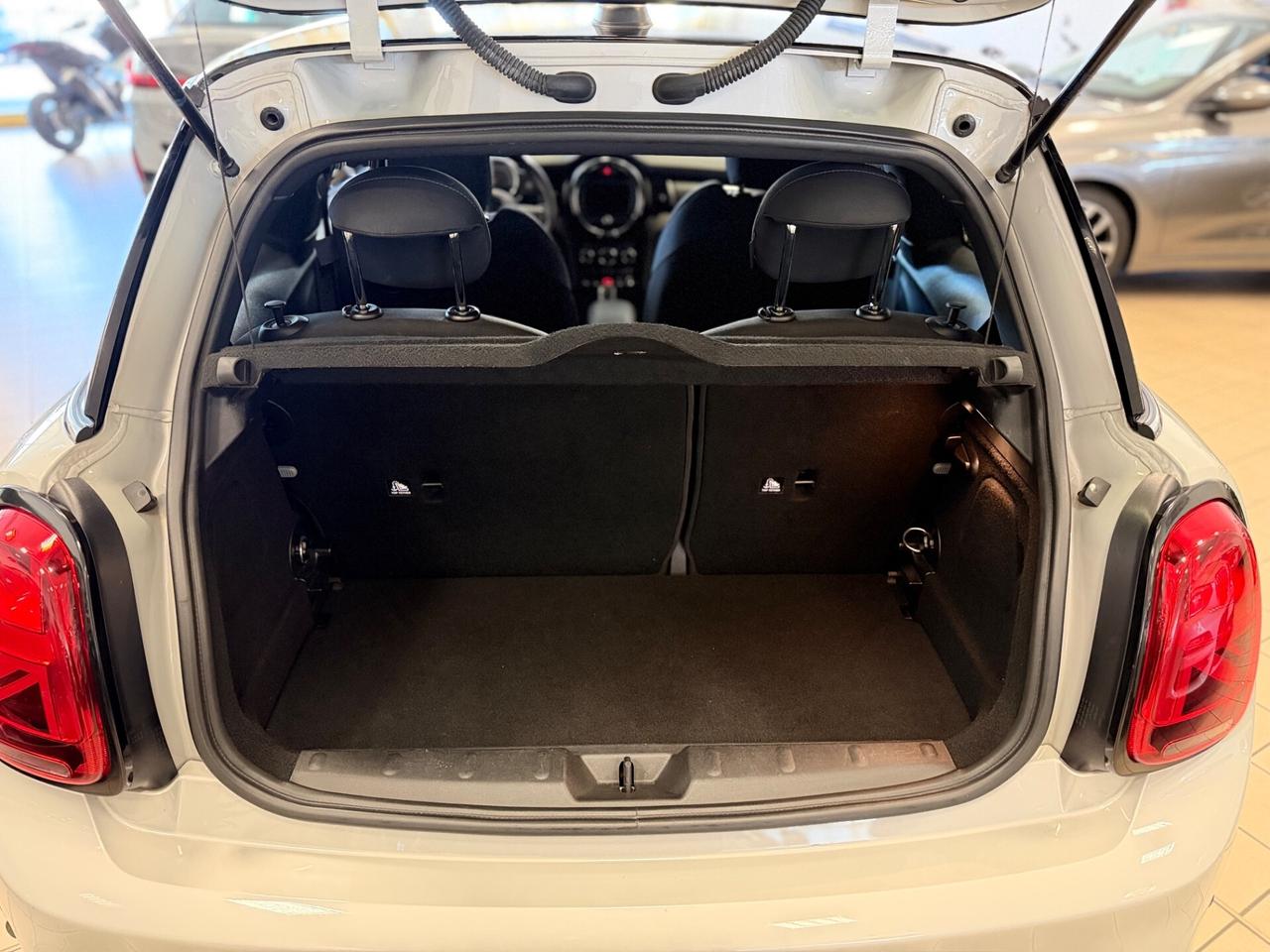 Mini 2.0 Cooper S Delaney Edition