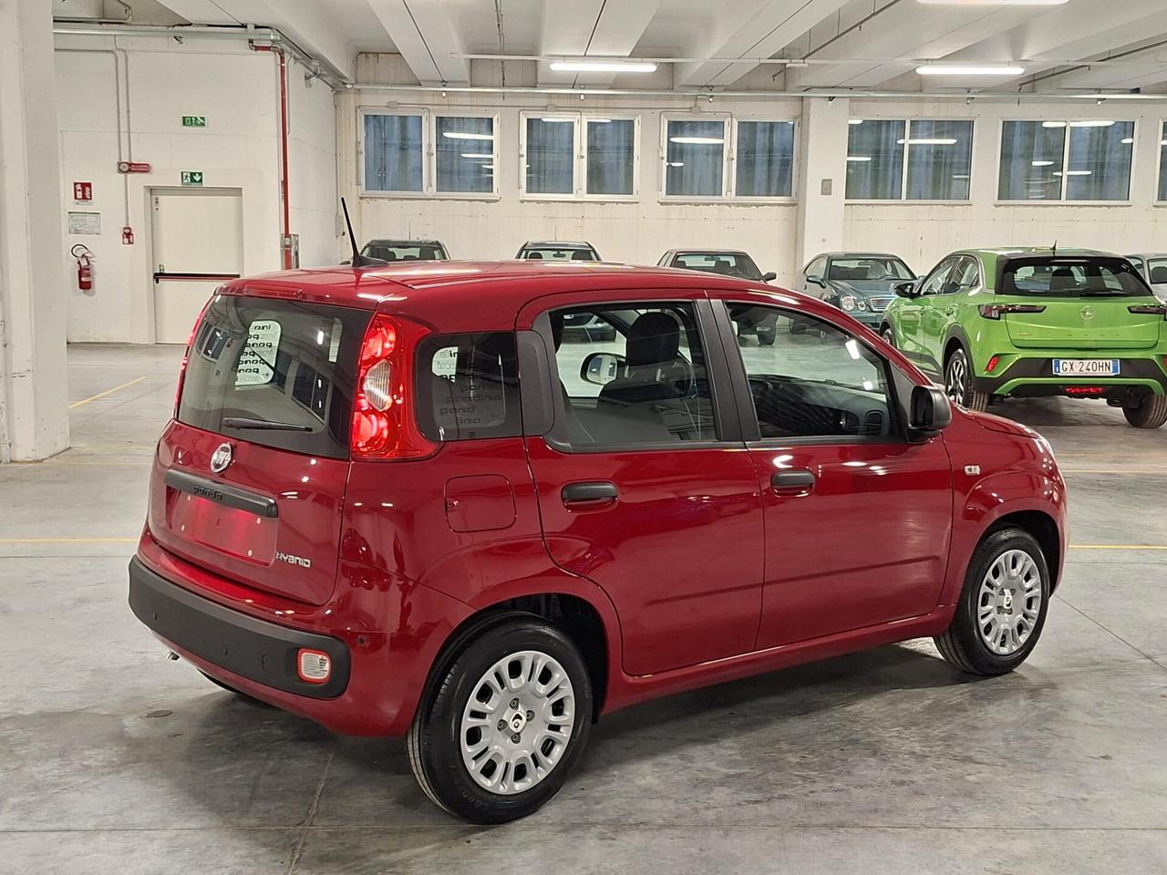Fiat Panda 1.0 FireFly Hybrid 70CV Icon Km.0 (414)