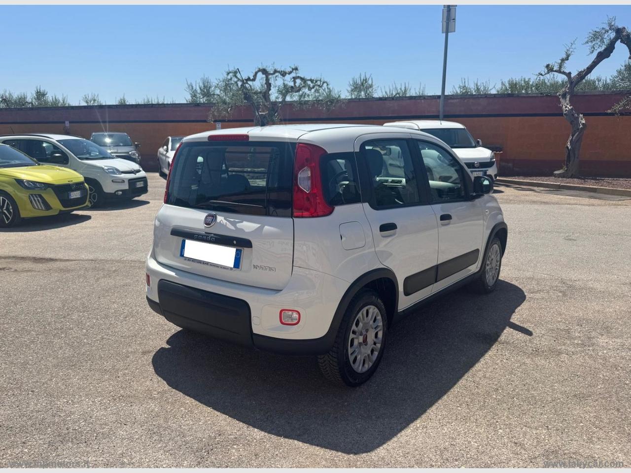 FIAT PANDA N1 HYBRID 1.0 70CV AUTOCARRO 4 POSTI