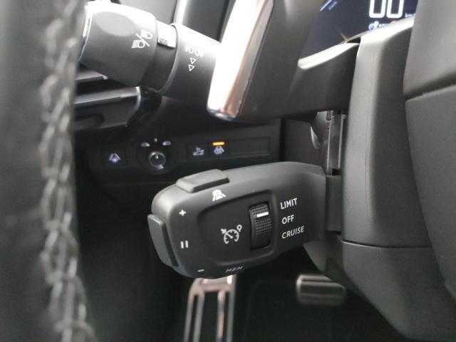 DS AUTOMOBILES DS 7 Crossback BlueHDi 130 aut. RIVOLI