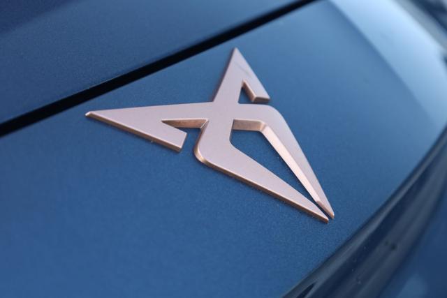 CUPRA Leon 2.0 TDI 150 CV DSG