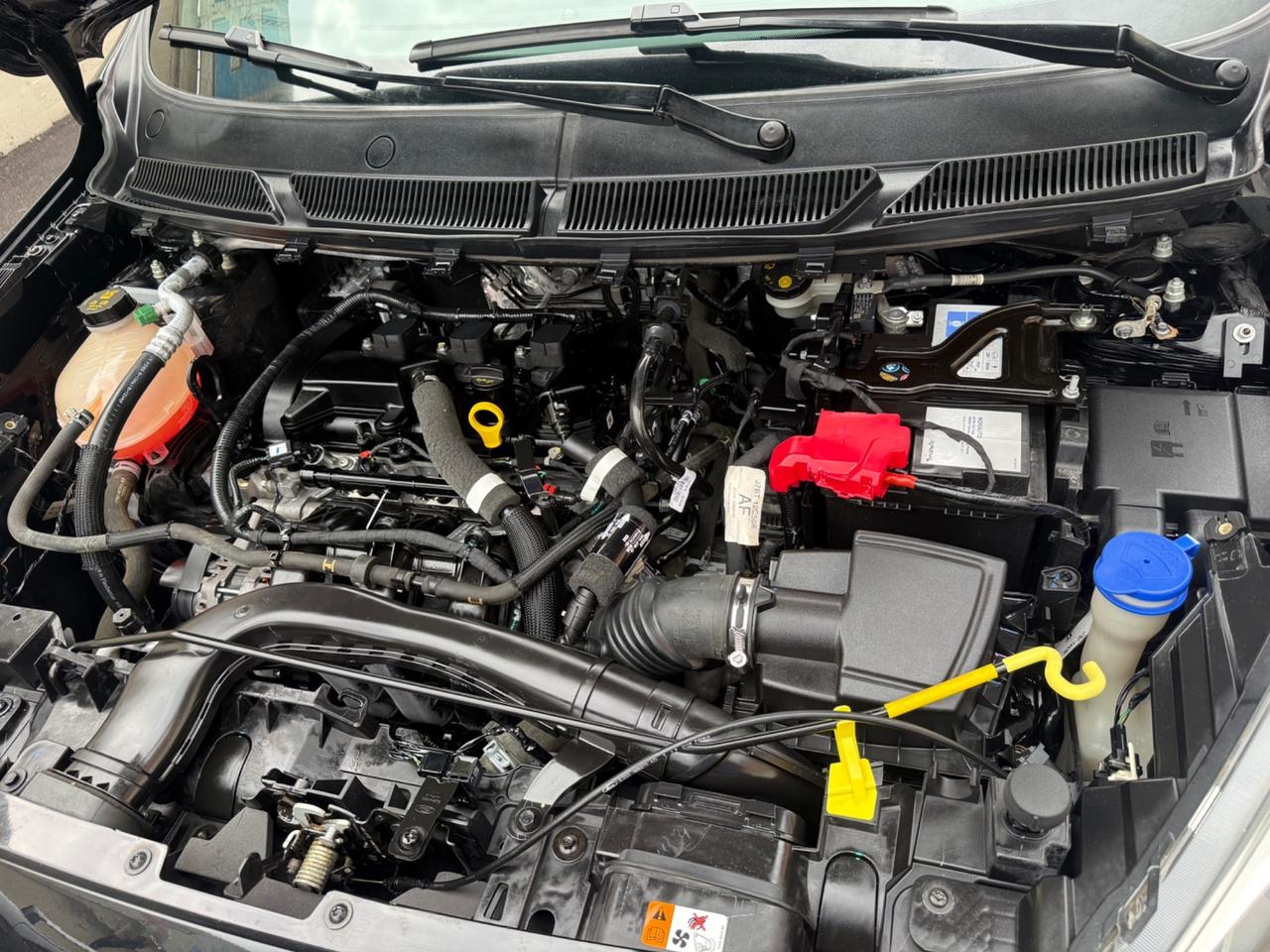 Ford Ka+ Active 1.2benzina - 2019
