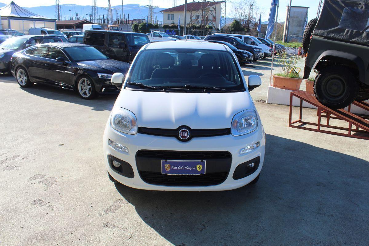 FIAT - Panda - 1.2 Pop