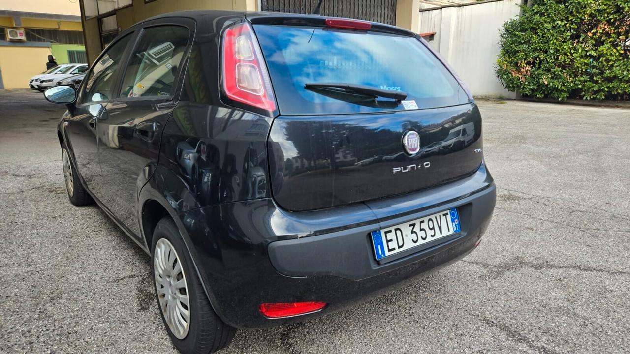 Fiat Punto Evo Punto Evo 1.2 5 porte Neopatentati