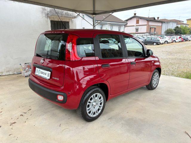 FIAT Panda 1.0 FireFly S&S IBRIDA COME NUOVA