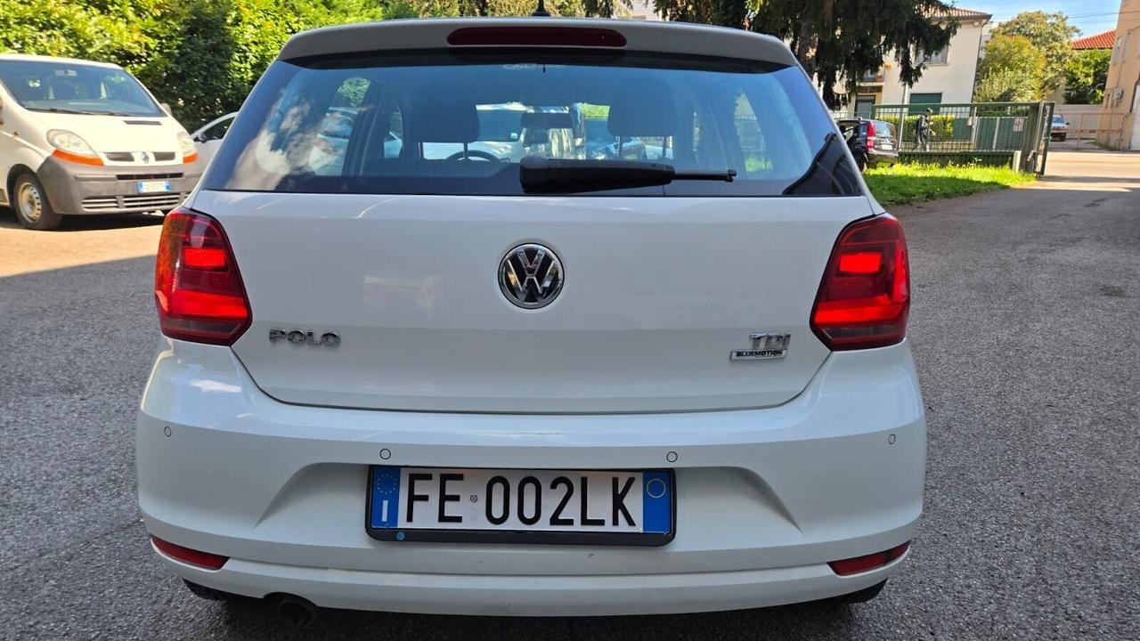 Volkswagen Polo 1.4 TDI 90 CV 5p. Business BlueMot