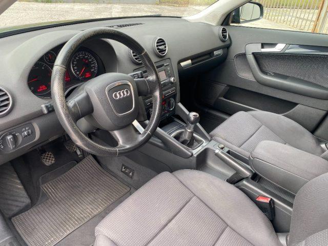 AUDI A3 SPB 2.0 TDI F.AP. quattro Ambiente