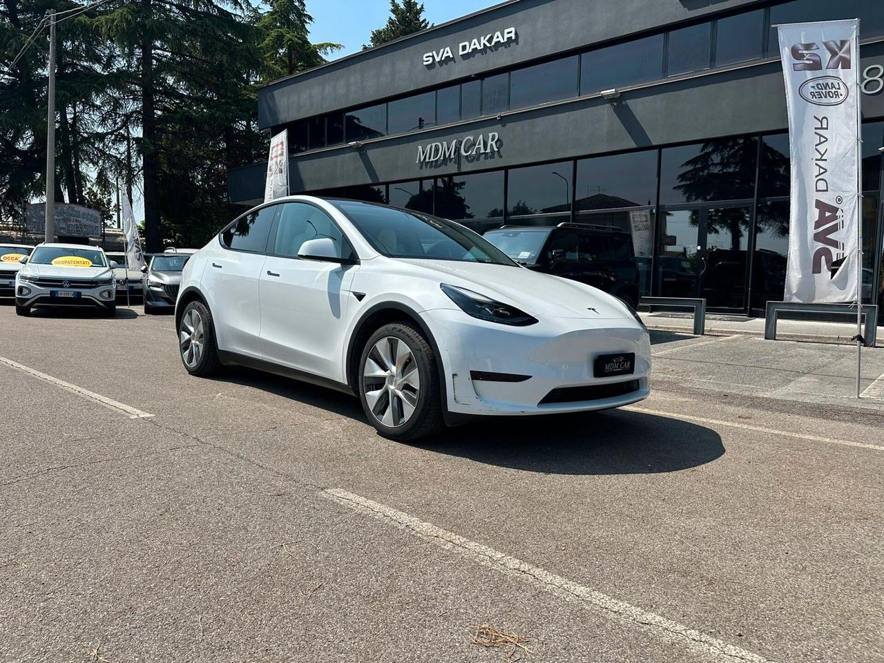 Tesla Model Y RWD