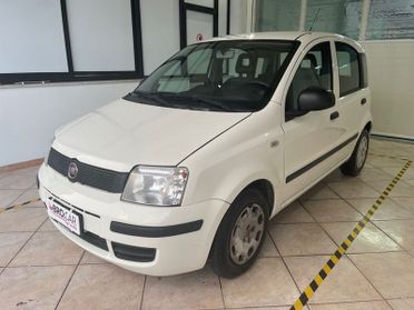 FIAT Panda Panda 1.2 69cv Classic
